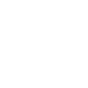 Fixed Price Model